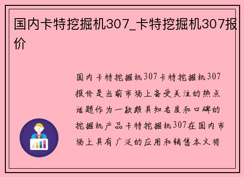 国内卡特挖掘机307_卡特挖掘机307报价