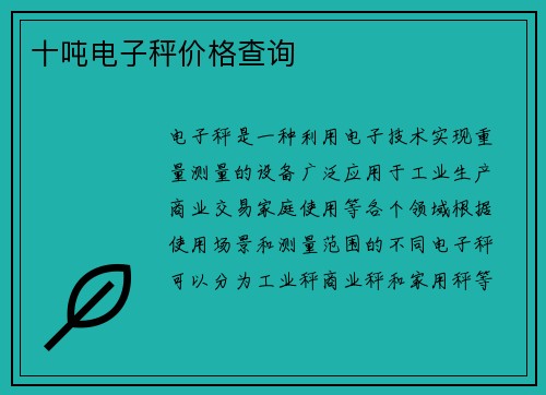 十吨电子秤价格查询